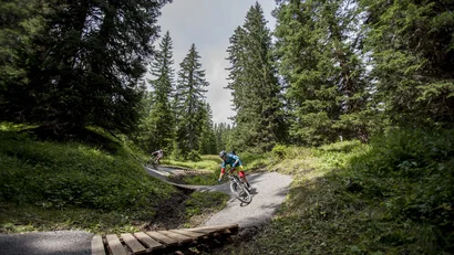 Zwei Mountainbiker auf Waldweg mit Kurven in grüner Landschaft