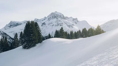 Schneebedeckte Berge und Tannen bei wolkigem Himmel