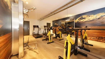 Moderner Fitnessraum mit Laufbändern, Fahrradergometern und Bergpanorama an der Wand