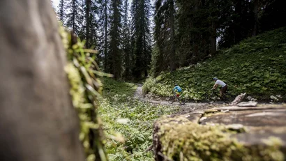 Zwei Radfahrer fahren auf einem Waldweg durch grüne Bäume und Pflanzen