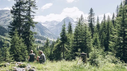 Zwei Menschen sitzen auf einer Wiese in den Bergen mit Tannen und schneebedeckten Gipfeln