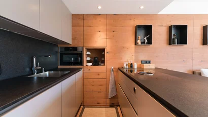 Moderne Küche mit Holzverkleidung, schwarzer Arbeitsplatte und Einbauspüle
